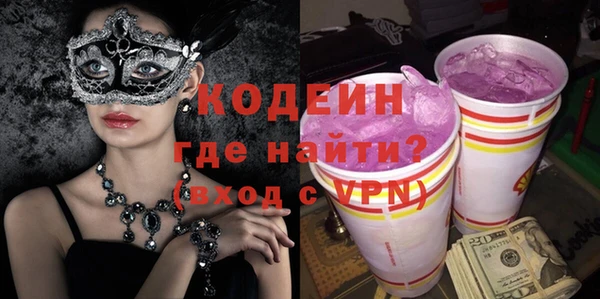 прущие грибы Рославль